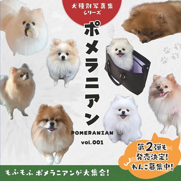 ポメラニアン（Pomeranian）vol.002 (犬種別写真集シリーズ) | 犬種別